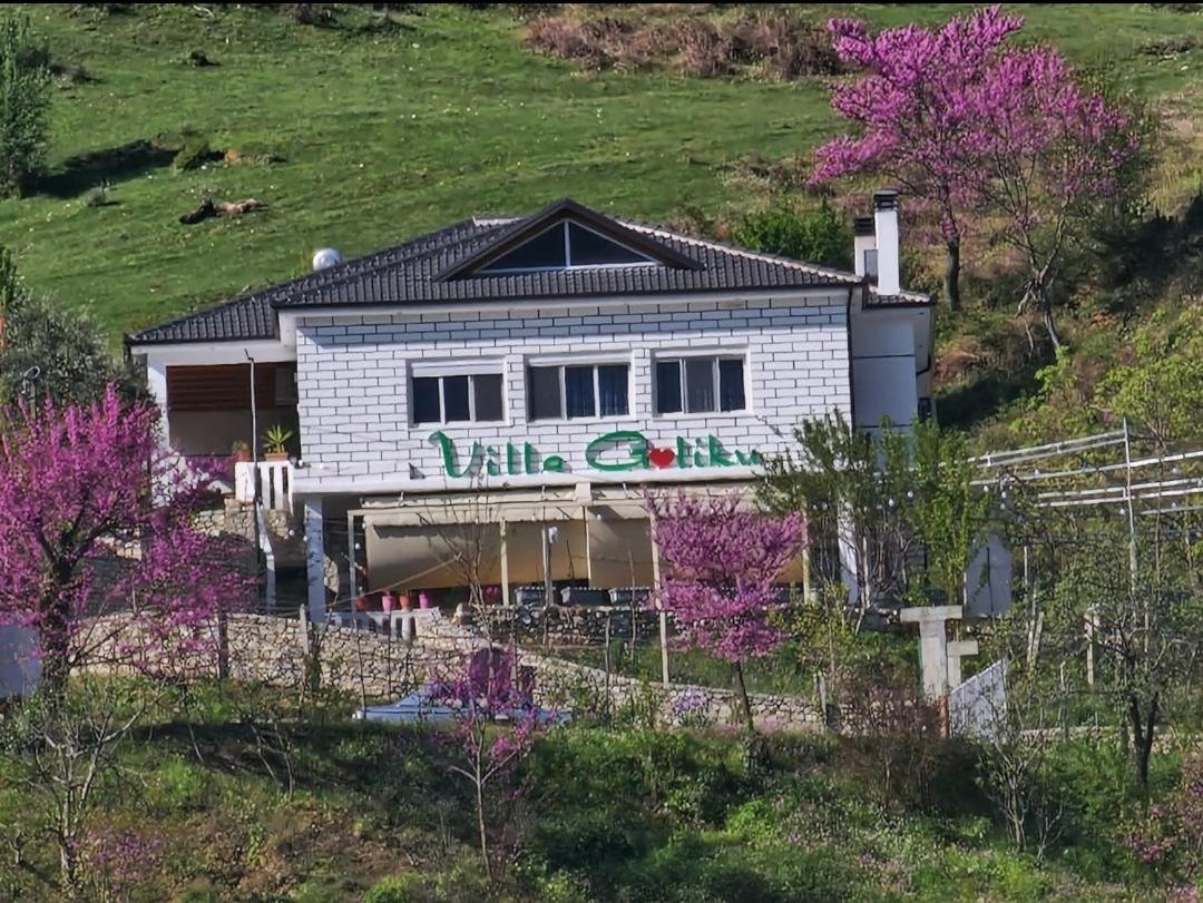 Villa Goliku Pestani Buitenkant foto